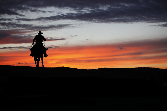 Westkanada Rundreise - Cowboy