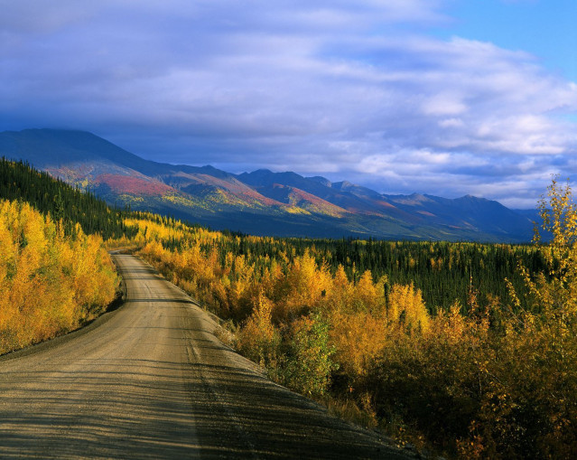 Alaska & Yukon Reise - Dempster Highway