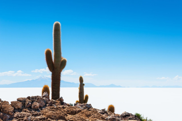 Bolivien Reise: Uyuni