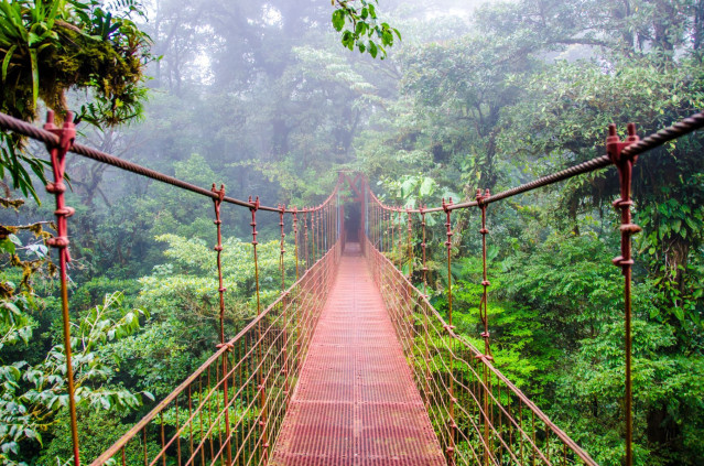 Costa Rica Brücke