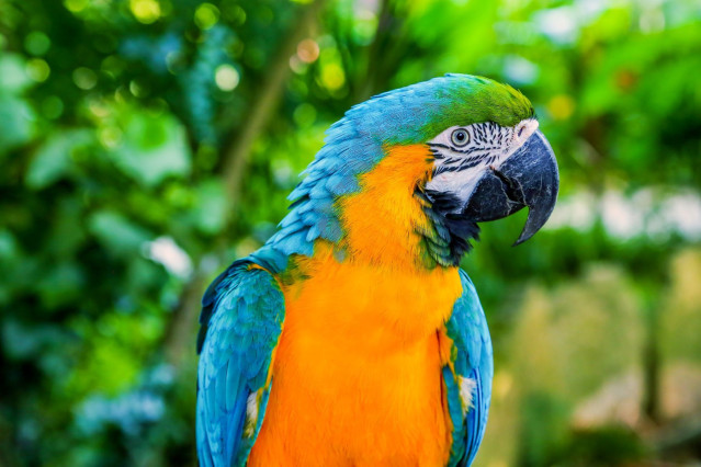 Costa Rica Reise