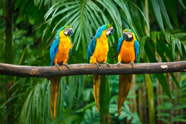 Costa Rica Rundreise 
