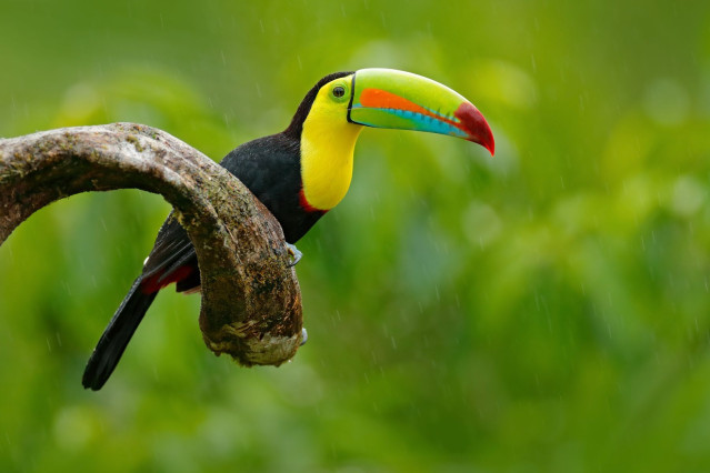 Costa Rica Rundreise 
