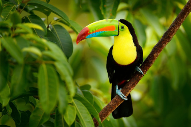 Costa Rica Rundreise 