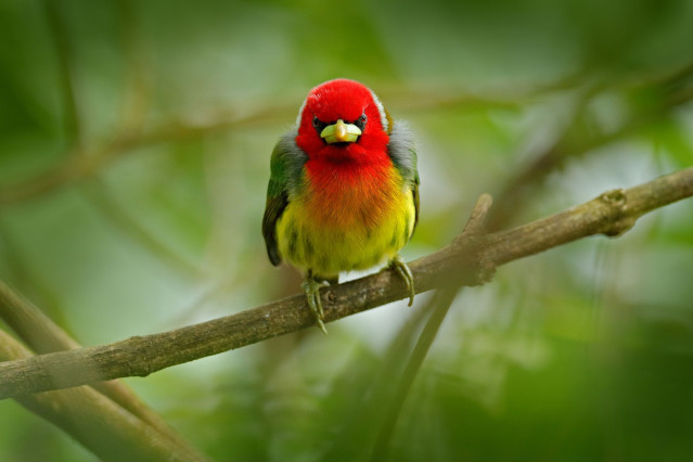 Costa Rica Rundreise 