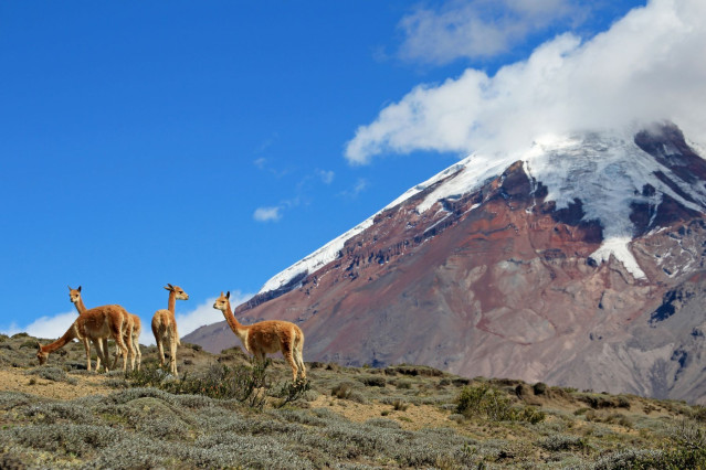 Ecuador-Reise mit wunderschönen Anden