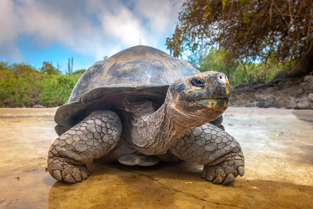 Ecuador Reise Galapagos Inseln 
