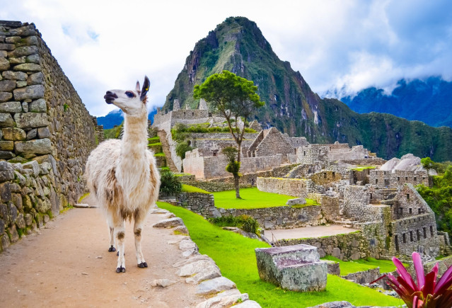 Peru Chile Reise Machu Picchu