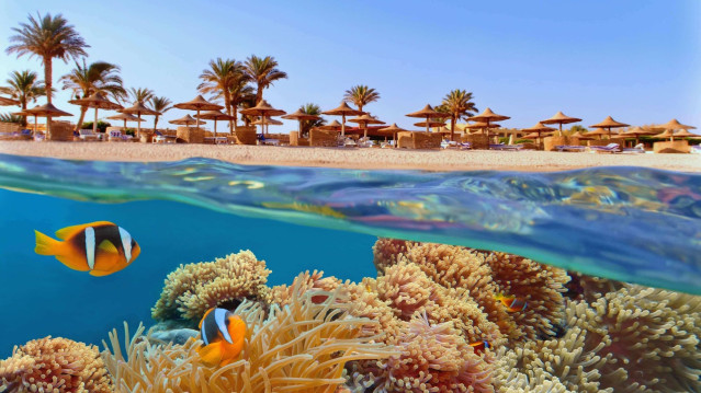 Ägypten Reise - Rotes Meer