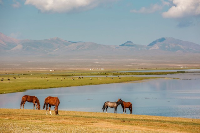 Kirgisistan Reise - Son-Kul-See