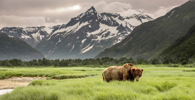 Reise: Alaska & Yukon 