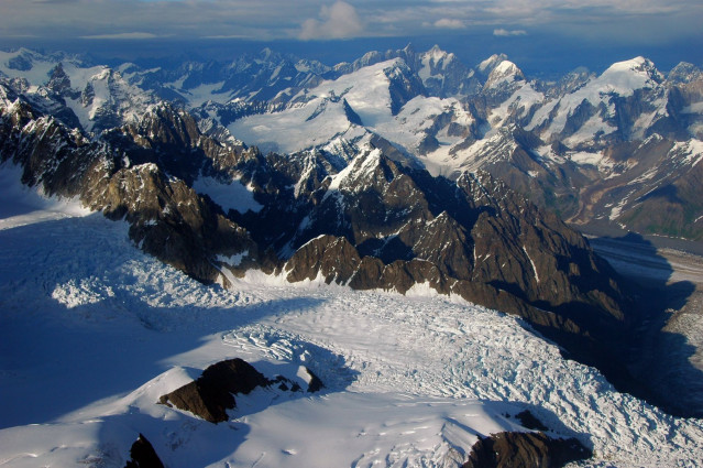 Reise durch Alaska & Yukon: Denali Nationalpark