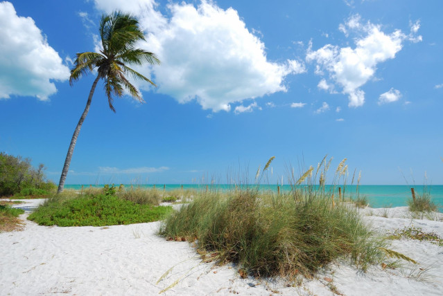 Florida Reise 