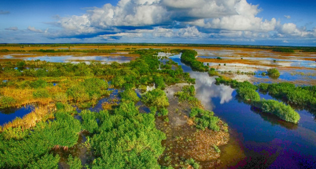 Florida Reise Everglades