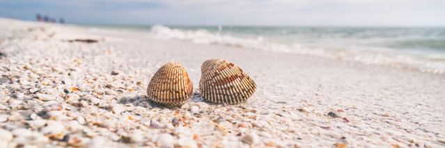 Disneyland Orlando und Baden in Fort Myers Beach