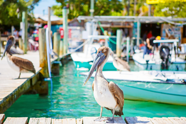 Florida Reise 