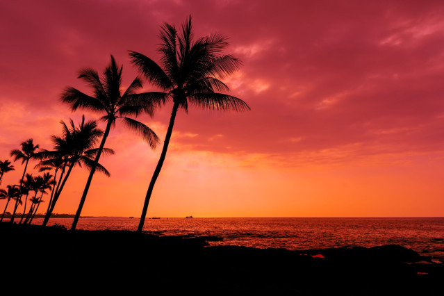 Hawaii Honululu