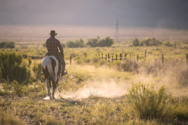 USA Reise: Texas Cowboy
