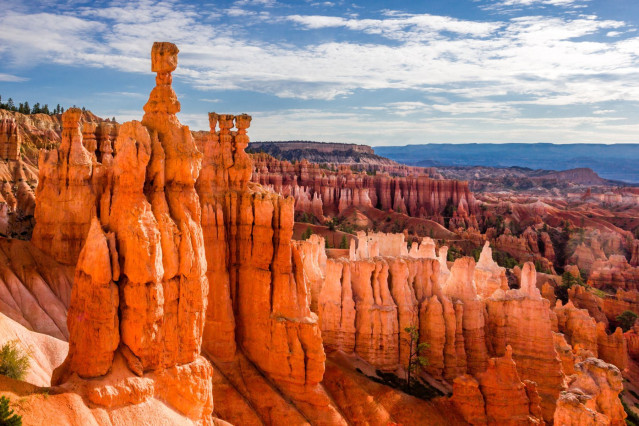 USA Reise Bryce Canyon