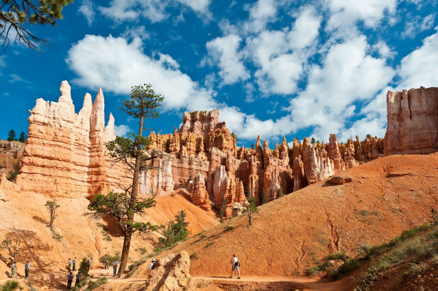 Reise USA Westen - Bryce Canyon