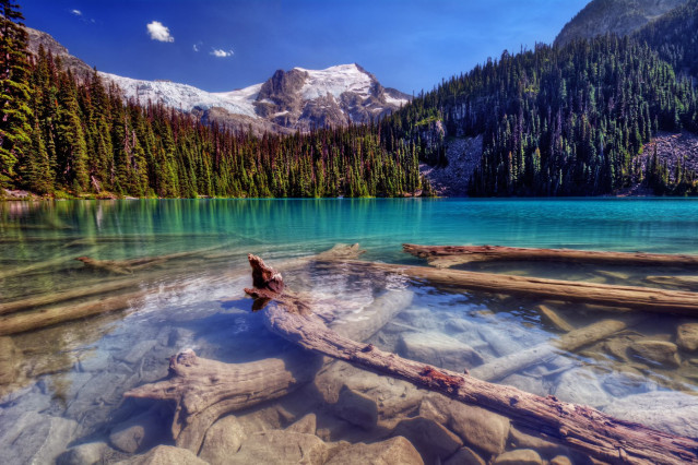 Reise durch den Westen USA: Yosemite Nationalpark