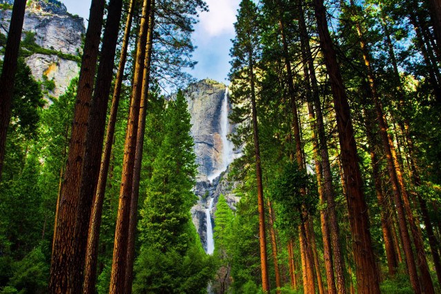 Reise Westen USA: Yosemite Waterfalls
