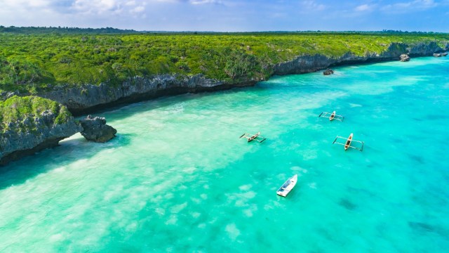 Türkisblaues Meer in Sansibar mit saftgrüner Landschaft dahinter