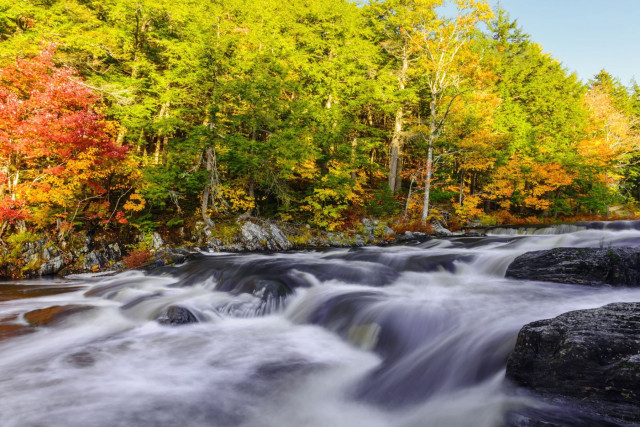 Mersey River im Kejimkujik Nationalpark