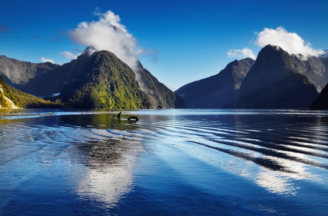 Neuseeland Reise - Milford Sound