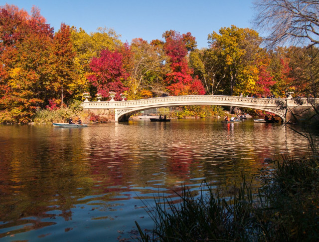 Brücke im New York Central Park