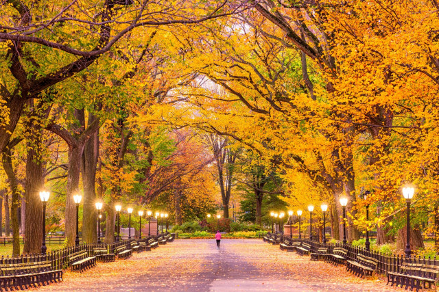 New York Central Park im Herbst