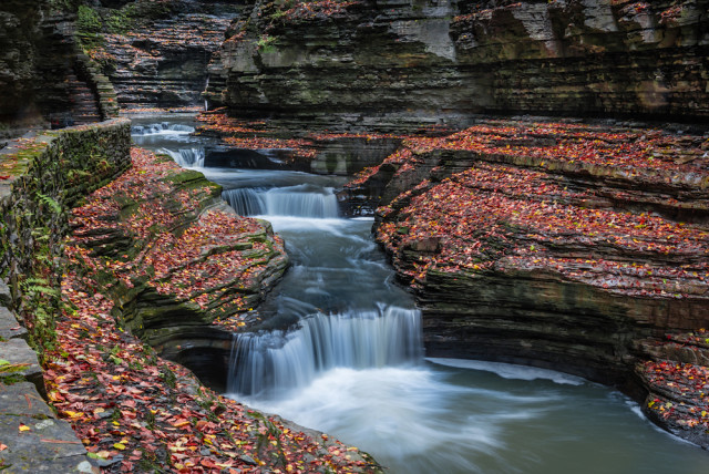 Watkins Glen State Park