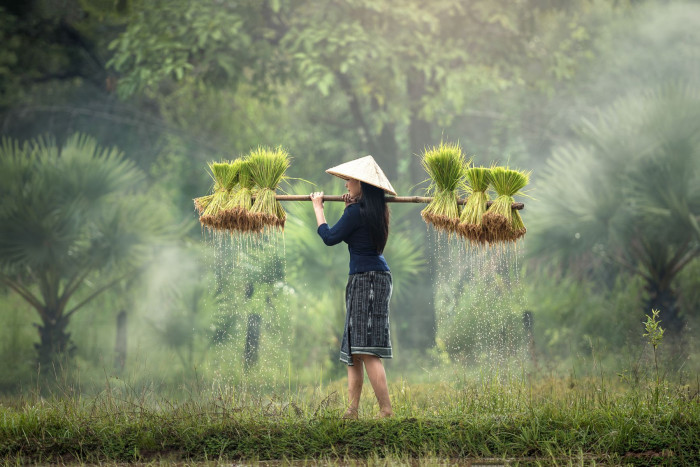 Foto aus Vietnam: Vietnam