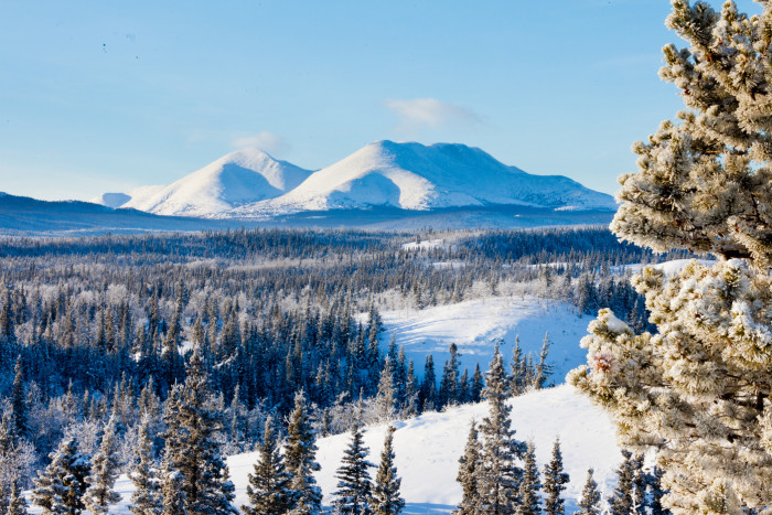Foto aus North West Territories : 