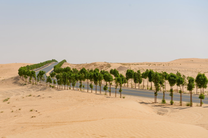 Foto aus Vereinigte Arabische Emirate: Vereinigte Arabische Emirate Reisen