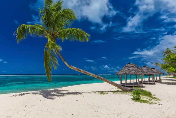 Foto aus Samoa: Samoa Reisen