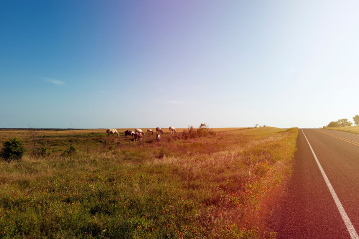 Foto aus Texas: Landschaft