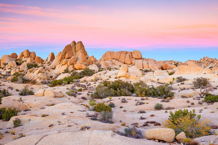 Foto aus California: Joshua Tree NP