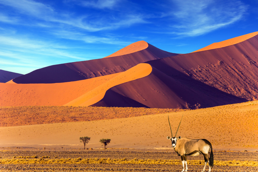 Namibia Reise: Mietwagenrundreise- Namibia Exklusiv - MESO Reisen
