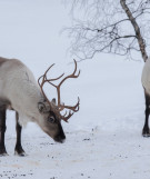 Urlaubsregion Norwegen