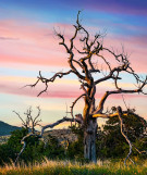 Urlaubsregion Oklahoma
