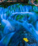Vermont