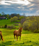 Kentucky