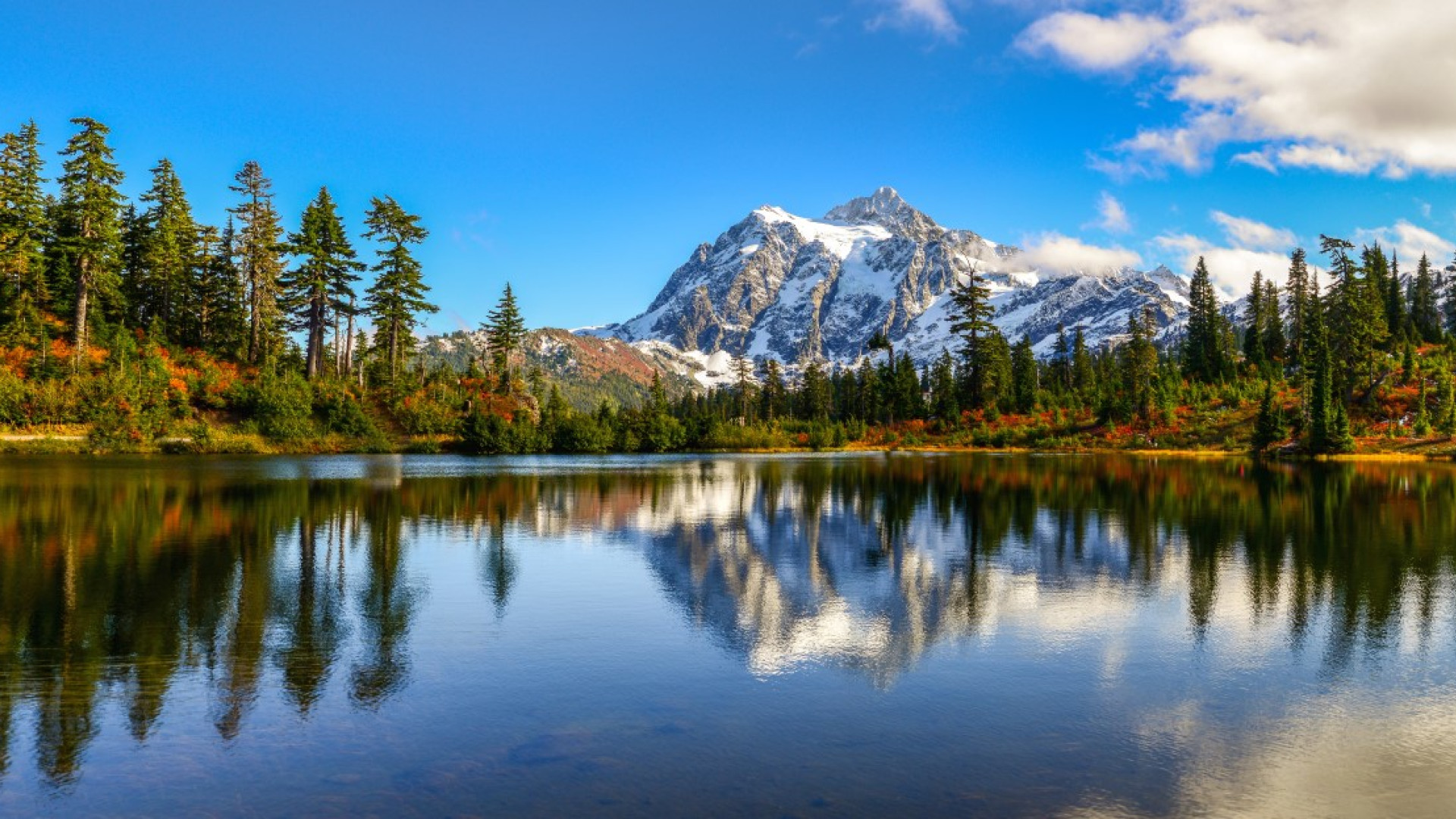 Washington MESO Reisen