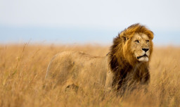 Afrika Reisebild