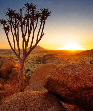 Reisebild - Namibia Rundreise Wüste