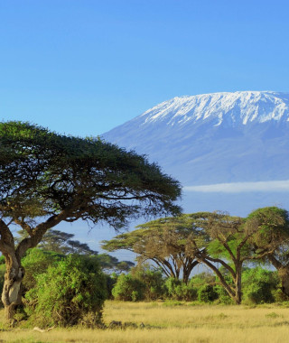 Reisebild - Tansania Reise - Kilimanjaro