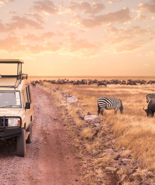 Reisebild - Afrika Reise Safari