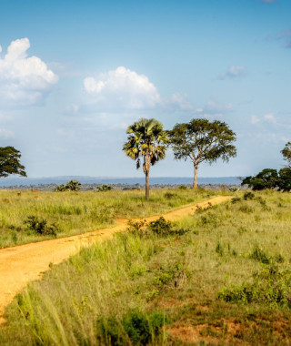 Reisebild - Uganda Reise National Park