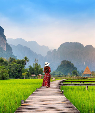 Reisebild - Reise Laos: Reisfelder